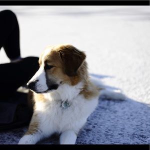 Meet your Posher, Marie-anne